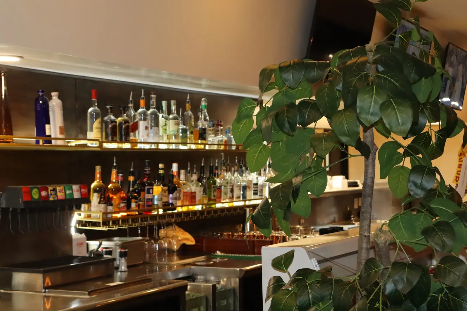 Best Sports Bars